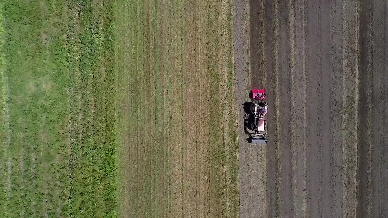 COMPRA ALIMENTOS